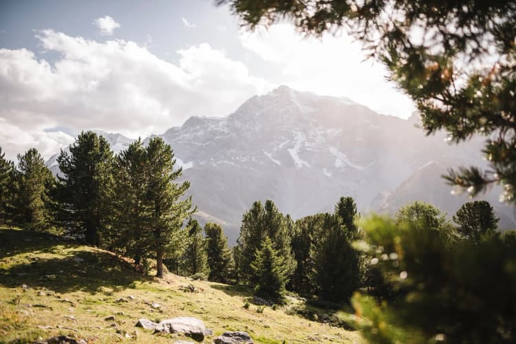 Servizio NCC a Torino: mare e montagna
